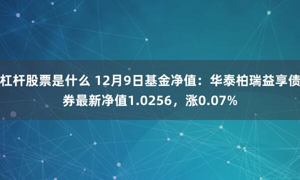 杠杆股票是什么 12月9日基金净值：华泰柏瑞益享债券最新净值1.0256，涨0.07%