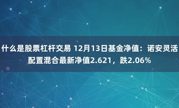 什么是股票杠杆交易 12月13日基金净值：诺安灵活配置混合最新净值2.621，跌2.06%