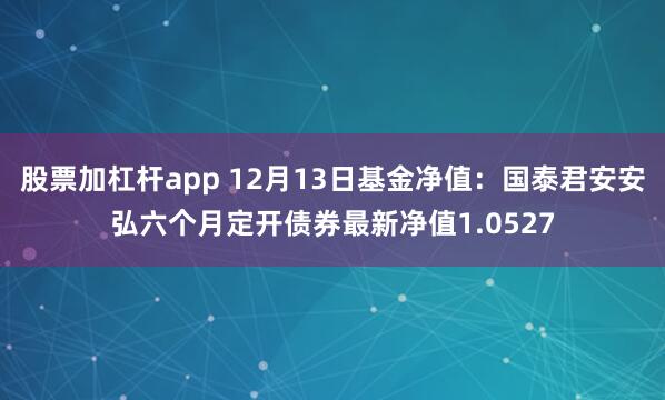 股票加杠杆app 12月13日基金净值：国泰君安安弘六个月定开债券最新净值1.0527