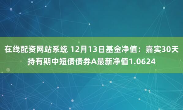 在线配资网站系统 12月13日基金净值：嘉实30天持有期中短债债券A最新净值1.0624